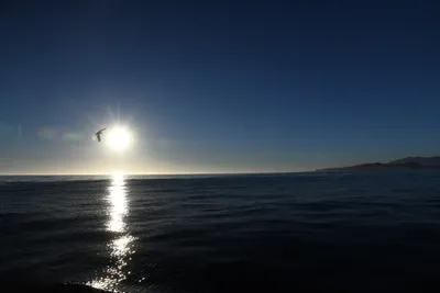 DSC_6688 (Large).JPG